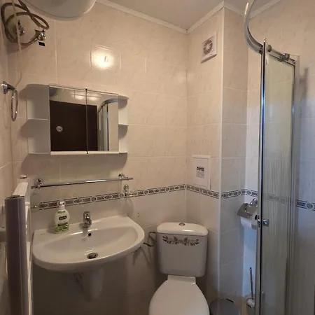 בית אירוח маунтин лодж