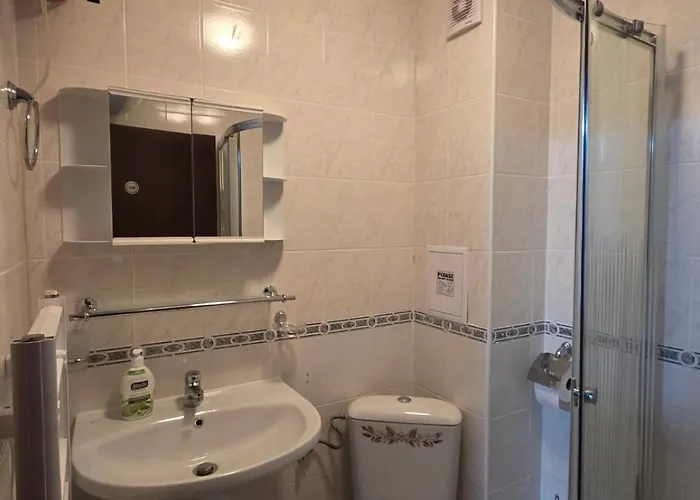 ホームステイ маунтин лодж