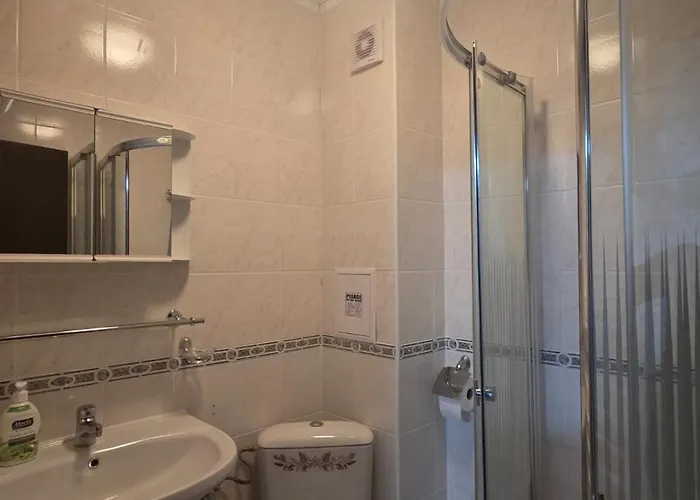 ホームステイ маунтин лодж パンポロボ